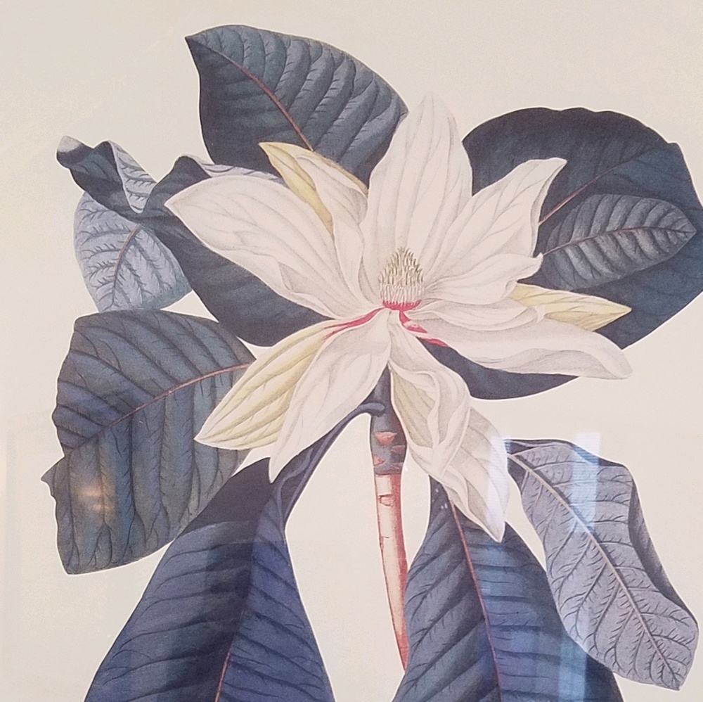 Meet your Posher, Sabrian